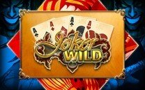 Joker Wild 1 Hand